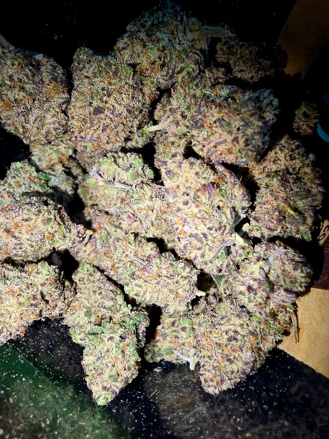 Close-up of premium house cannabis flower